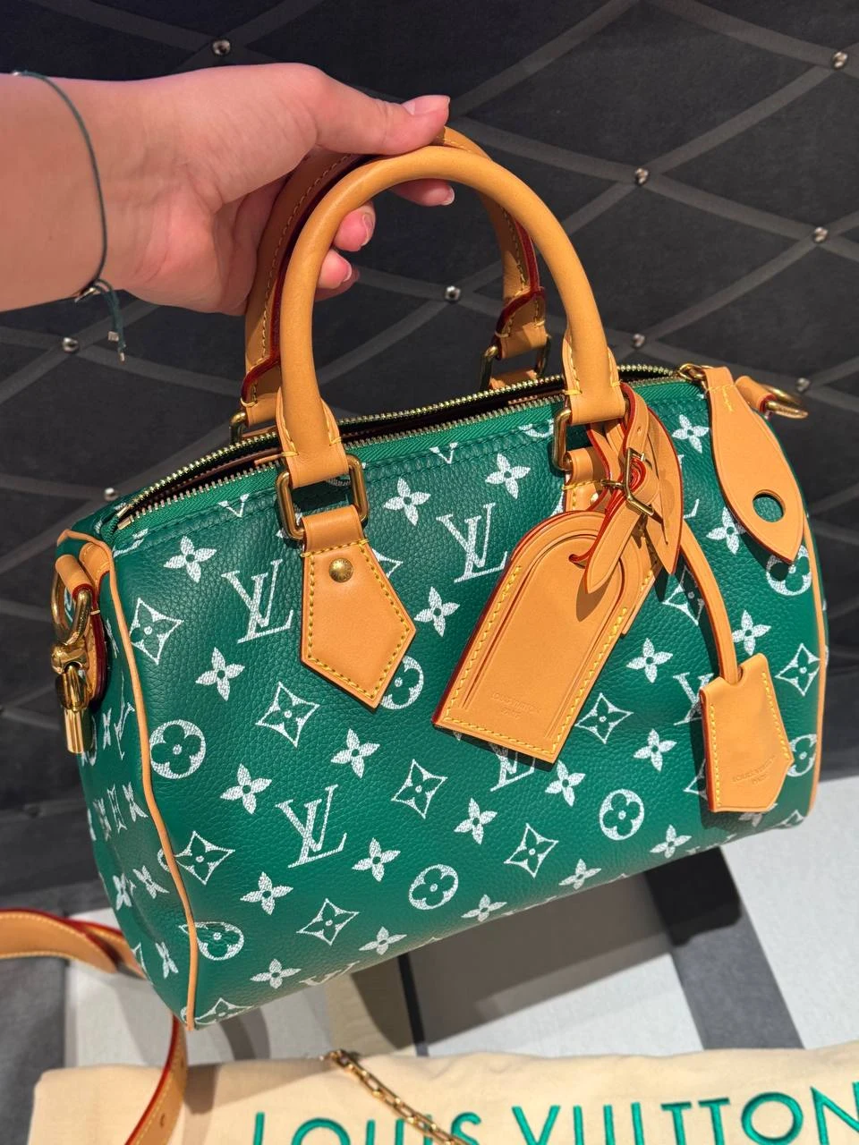 Базовые модели Louis Vuitton — фото 1685