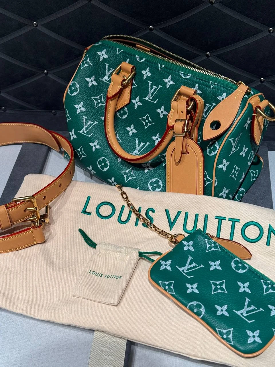 Базовые модели Louis Vuitton — фото 1686