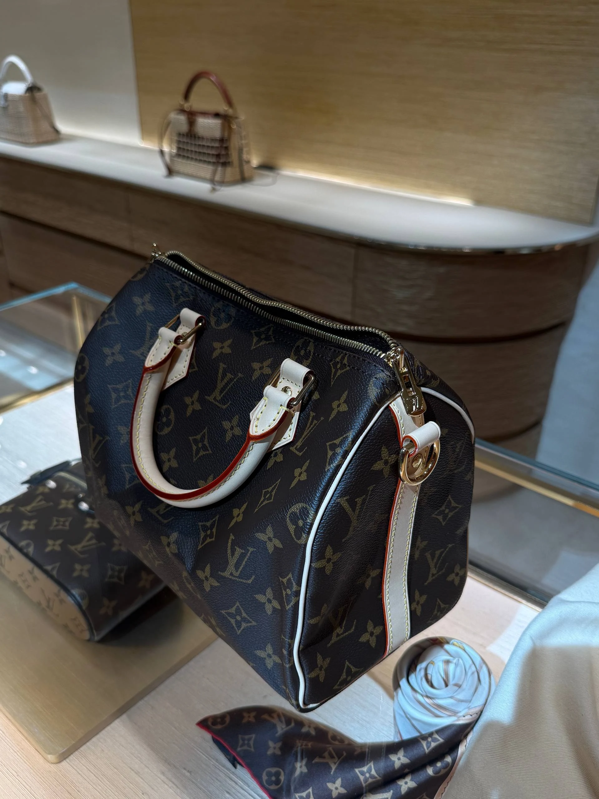 Базовые модели Louis Vuitton — фото 1688